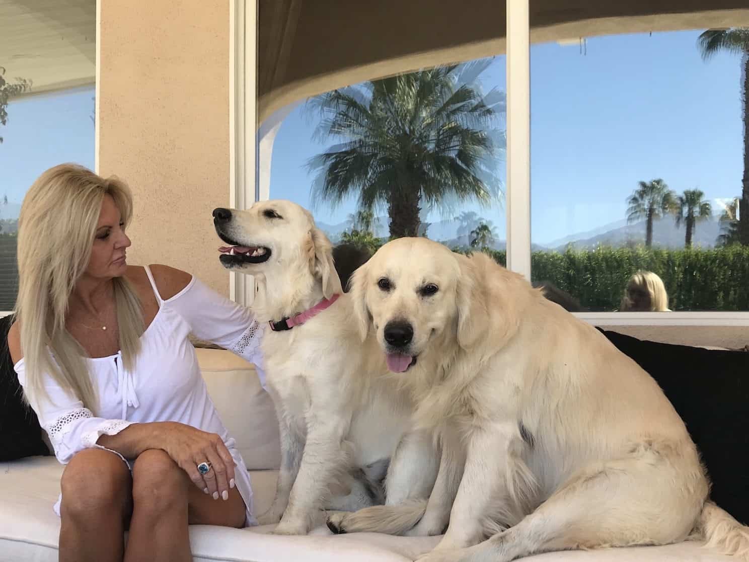 YUP PUP All-Natural CBD Dog Treats Review Expectations vs Reality