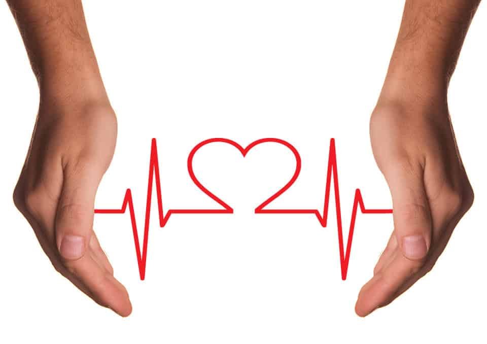 Prevent Heart Disease by Learning About Your Heart