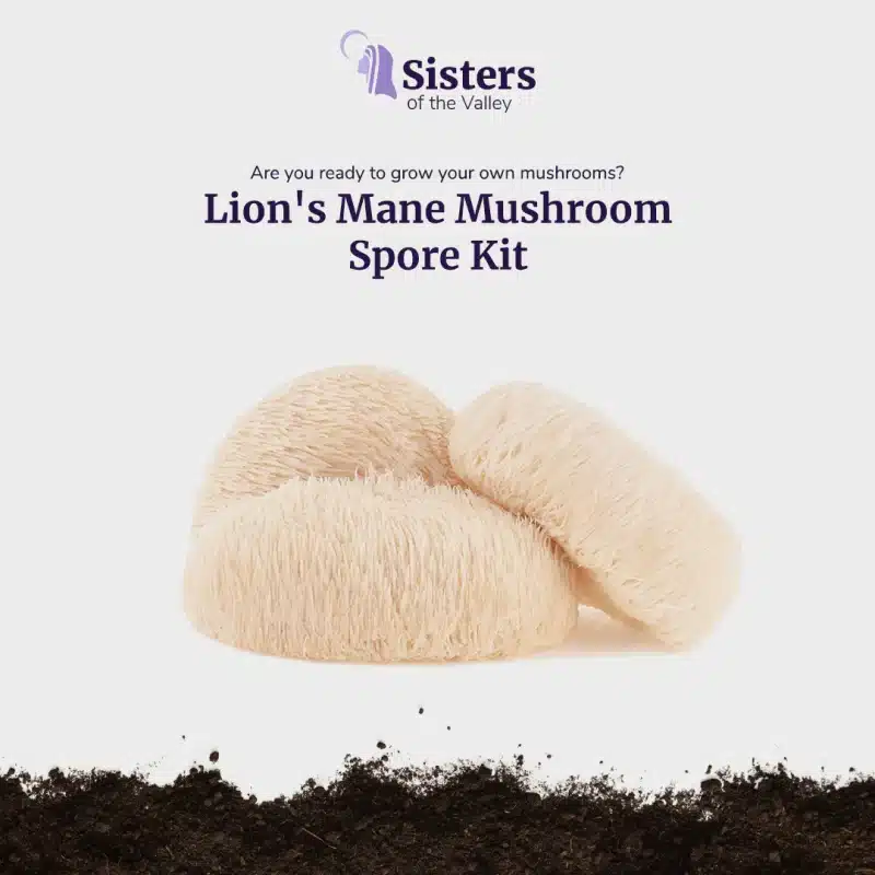 The Sisters of the Valley Lion's Mane Mushroom Spore Kit