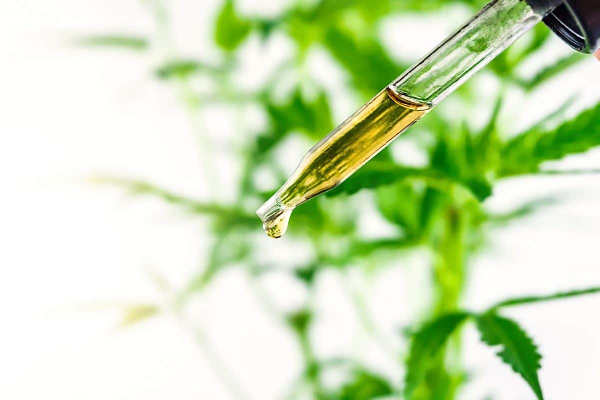 The Best CBD Oils- Ranked Number One