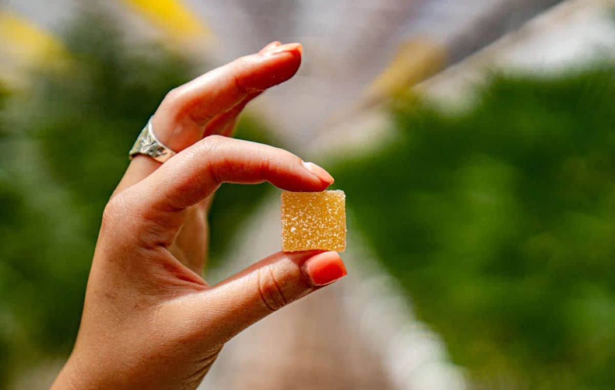 The Cost of CBD Gummies