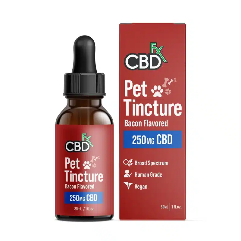CBD Oil for Dogs – Bacon