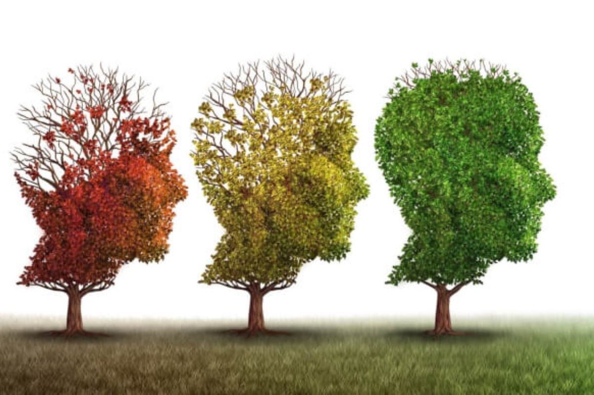 Retirement Cognitive Decline Reversal: 4 Strategies For Seniors