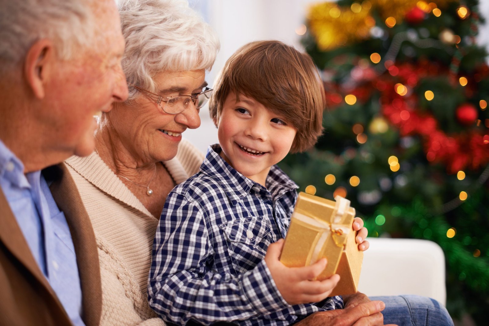 Holiday Gifts for grandchildren 2024